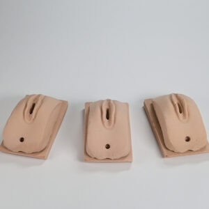 mySim female genitalia training module set in foam