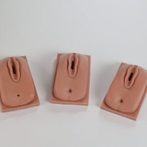 mySim female genitalia training module set in silicone
