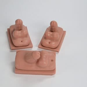 mySim male genitalia training module set in silicone for catheterization training