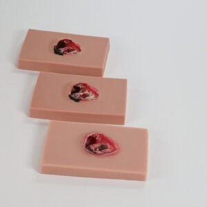 mySim stage 4 pressure injury training module set in silicone for wound care education