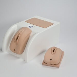 mySim urinary catheter training kit in foam for female catheterization and suprapubic practice